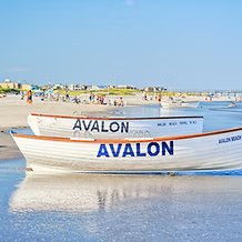Avalon